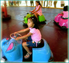 Covered Bumper Cars